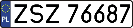 ZSZ76687