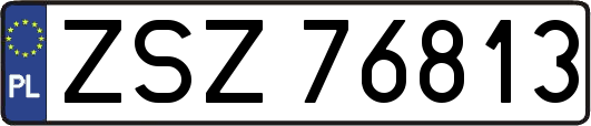 ZSZ76813