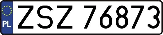 ZSZ76873