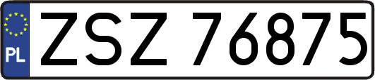 ZSZ76875