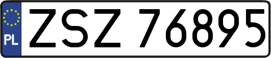 ZSZ76895
