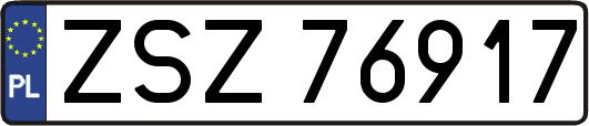 ZSZ76917