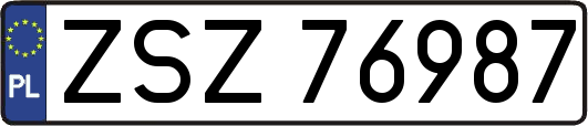 ZSZ76987