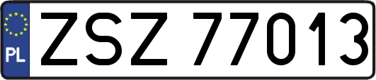 ZSZ77013