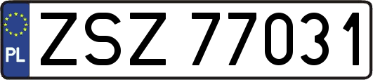 ZSZ77031