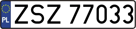 ZSZ77033