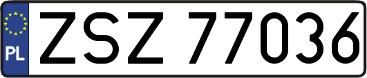 ZSZ77036