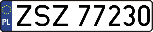 ZSZ77230