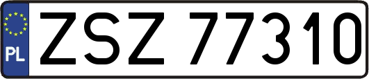 ZSZ77310