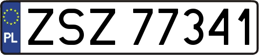 ZSZ77341