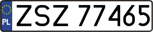 ZSZ77465