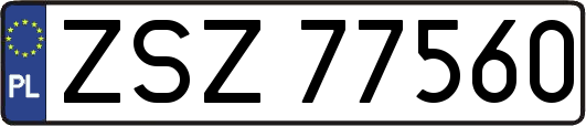 ZSZ77560
