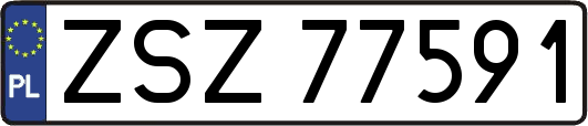 ZSZ77591