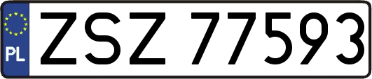 ZSZ77593