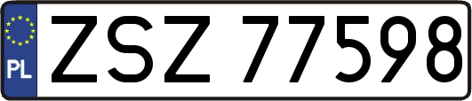 ZSZ77598