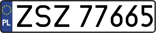 ZSZ77665
