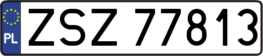 ZSZ77813