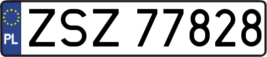ZSZ77828
