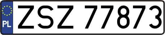ZSZ77873
