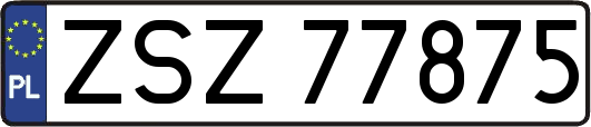 ZSZ77875