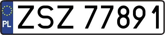 ZSZ77891
