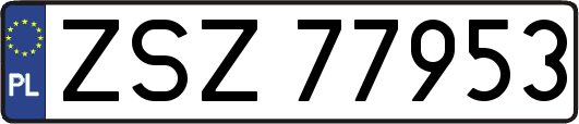 ZSZ77953