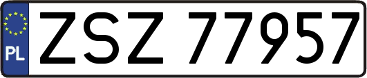 ZSZ77957