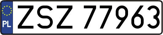 ZSZ77963