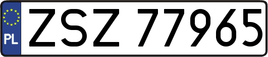 ZSZ77965