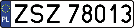ZSZ78013