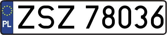 ZSZ78036