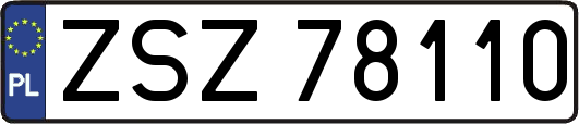 ZSZ78110