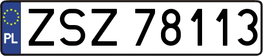 ZSZ78113