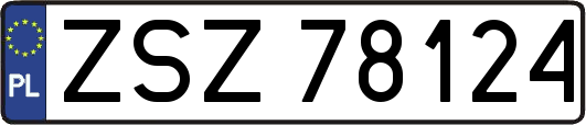ZSZ78124