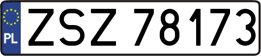 ZSZ78173