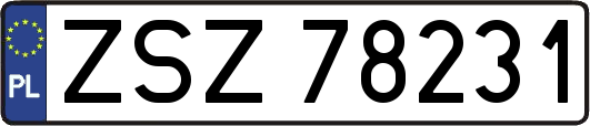 ZSZ78231