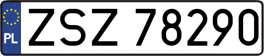ZSZ78290