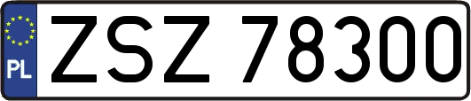ZSZ78300