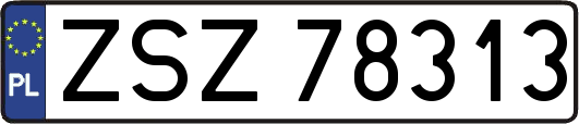 ZSZ78313