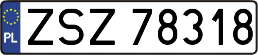 ZSZ78318