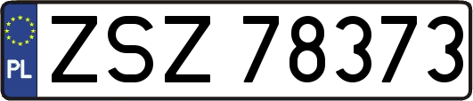 ZSZ78373