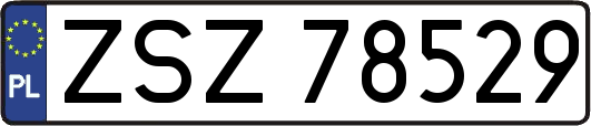 ZSZ78529