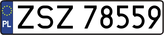 ZSZ78559