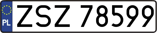 ZSZ78599