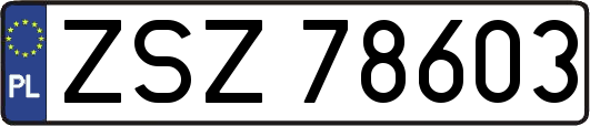 ZSZ78603