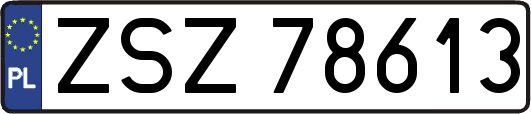 ZSZ78613