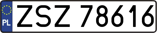 ZSZ78616