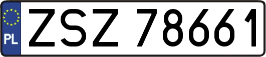 ZSZ78661