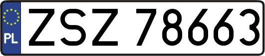 ZSZ78663