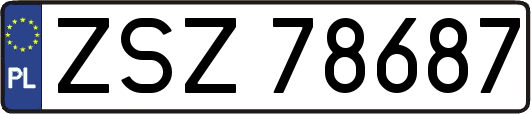 ZSZ78687